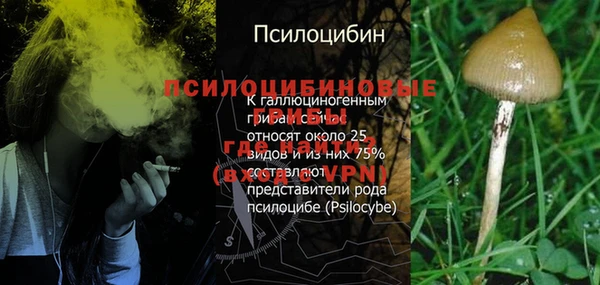 кристаллы Алзамай
