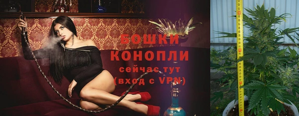 бошки Болотное