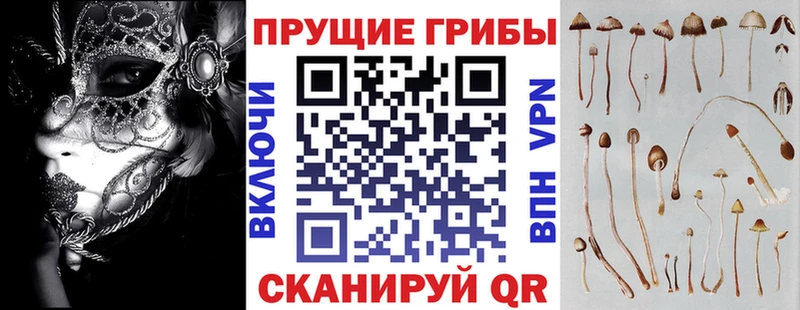 Псилоцибиновые грибы MAGIC MUSHROOMS  Тогучин 
